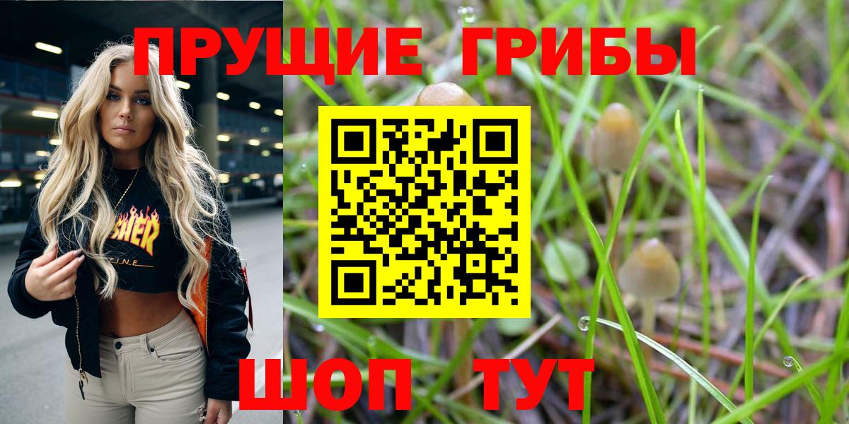 Псилоцибиновые грибы Magic Shrooms Ртищево