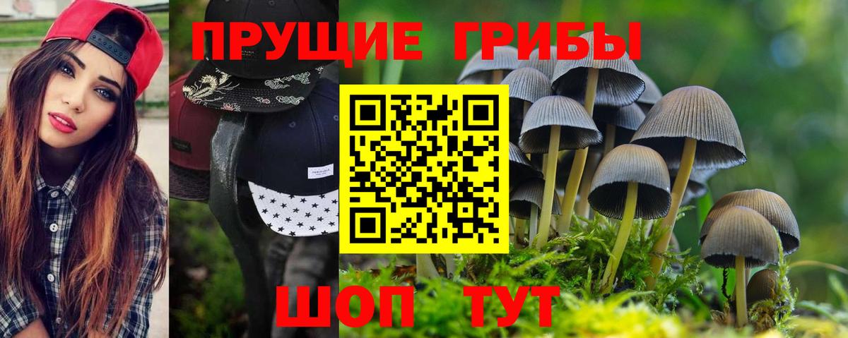 Псилоцибиновые грибы Psilocybine cubensis  Вход с VPN  Галлюциногенные грибы MAGIC MUSHROOMS  Ртищево 